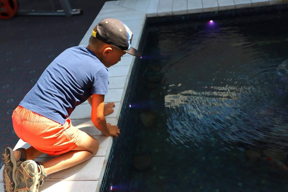 Benefits of Our Professional Pool Deck Repair Contractors
